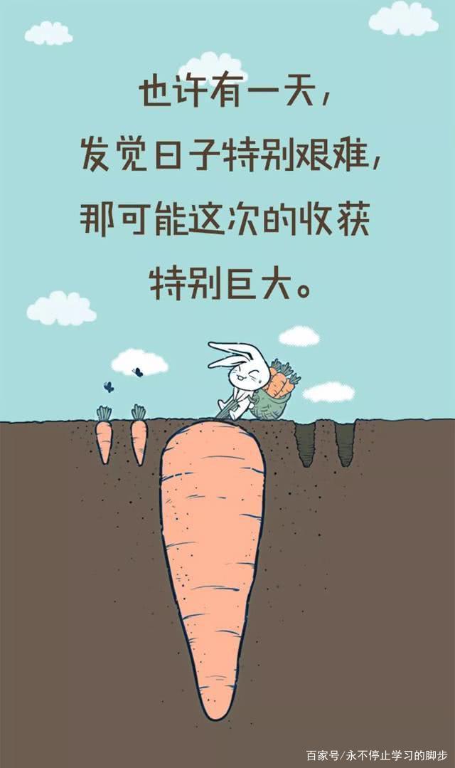眼前困难别灰心，鼓足信心看未来打一个准确生肖、警惕虚假宣传-全面释义、前沿解答解释落实